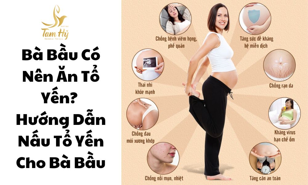Bà Bầu Có Nên Ăn Tổ Yến (1)