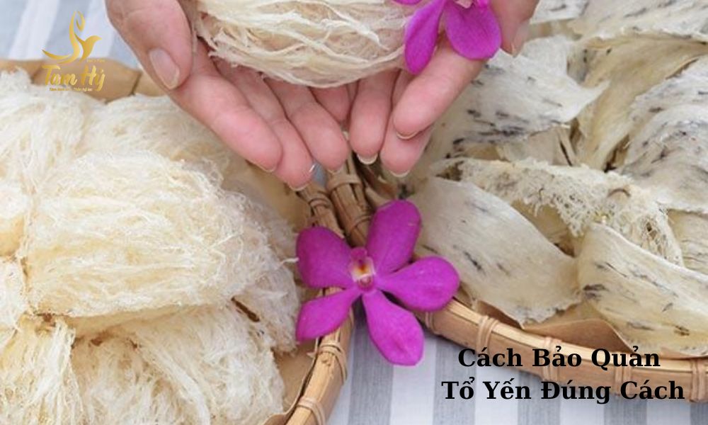 Cách bảo quản Tổ yến thô đúng cách