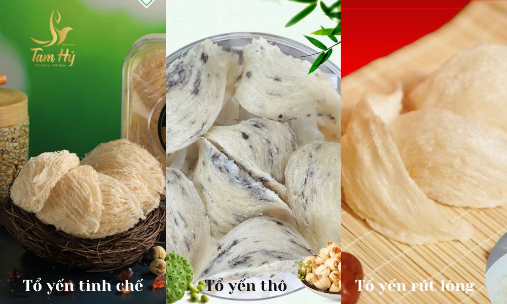 phân biệt tổ yến thô, tổ yến tinh chế và tổ yến rút lông