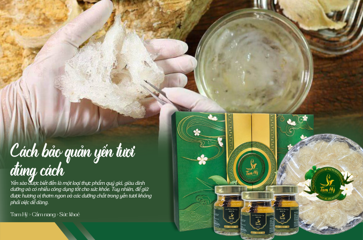 Cách Bảo Quản Yến Tươi Đúng Cách Để Giữ Trọn Dinh Dưỡng