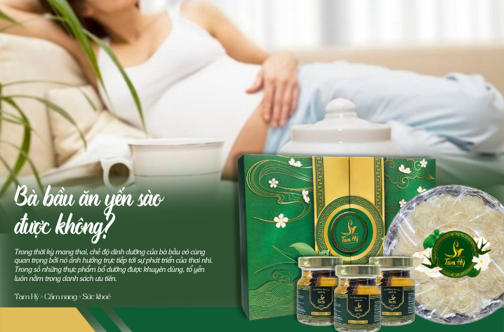 Bà Bầu Có Nên Ăn Tổ Yến? Hướng Dẫn Nấu Tổ Yến Cho Bà Bầu