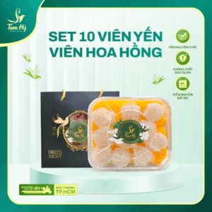 [Set quà] 10 Viên Yến Hoa hồng – 100% yến nguyên chất, tặng kèm đường phèn, táo đỏ, đông trùng